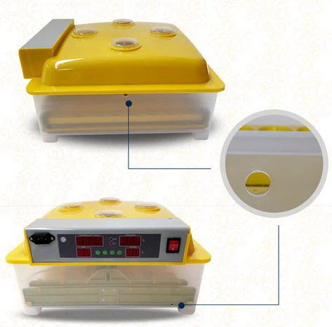 Eggs Incubator